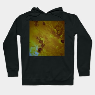 Io Hoodie